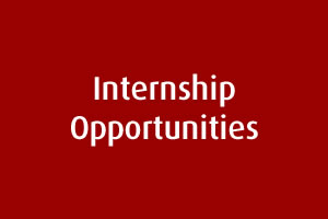 Internship Opportunities